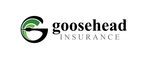 goosehead Insurance