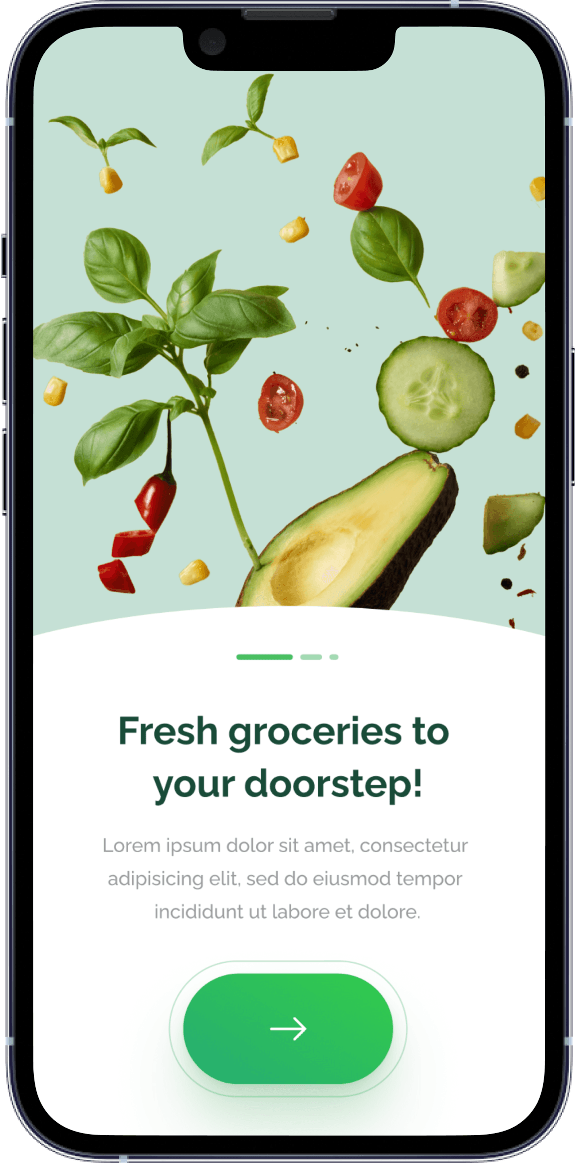 Build Your Own Grocery Delivery App with GeekyAnts