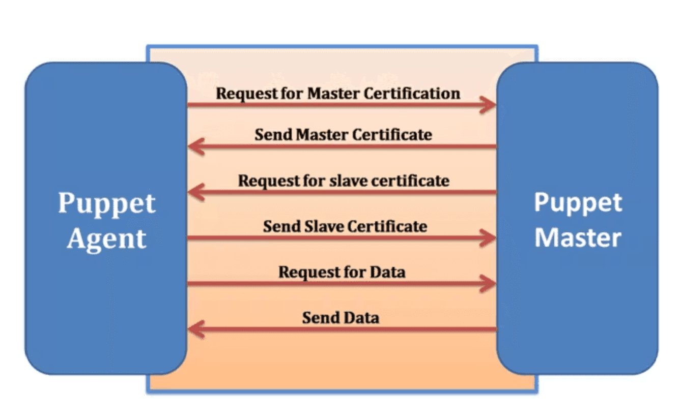 The Puppet daemon that runs on a target system (or node) is known as the Puppet agent. The agent must have the appropriate privileges for the node on which it is enabled so that it can apply the configuration catalogs that it pulls from the Puppet master. The agent gains communication privileges from the master server by requesting an Secure Socket Layer (SSL) certificate the first time that it contacts the master. Subsequently, whenever the agent polls the master for configuration updates, it only receives updates if its certificate is valid.  The Puppet agent that runs on each of the target nodes must have the ability to modify most aspects of the system's configuration. This requirement enforces the state in which the master has indicated the agent should be. Because so much access to the system is required by the puppet agent, it is run as the root user or a user who is assigned the Puppet Management rights profile.