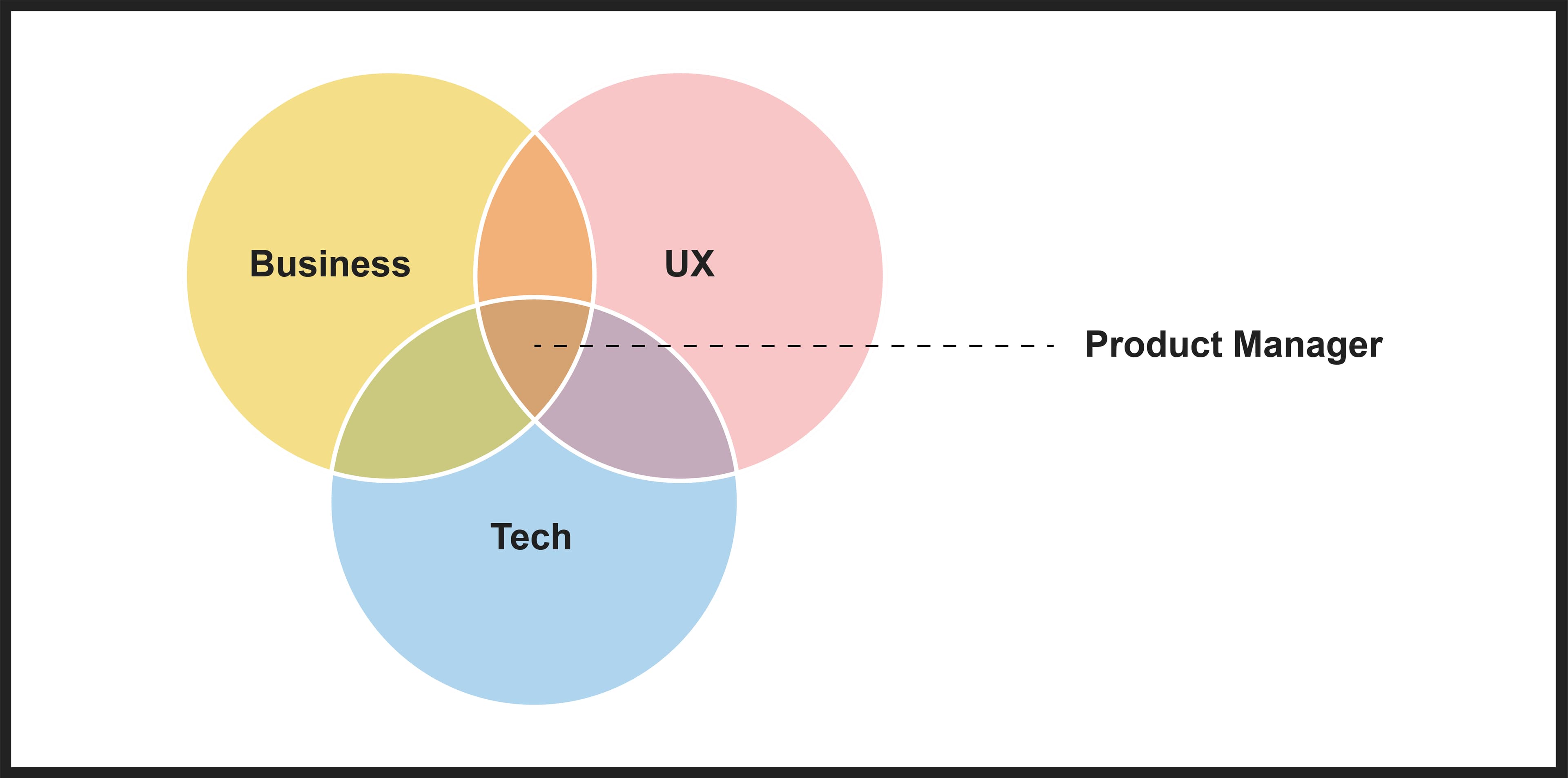 A product manager's role