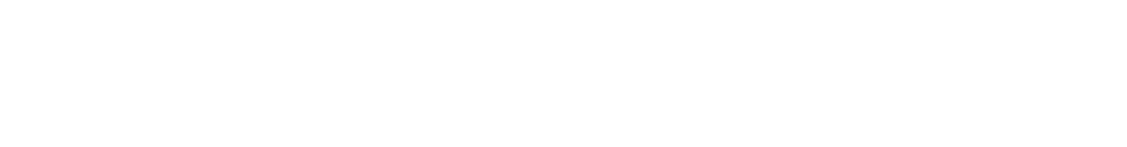 Valult vision logo image