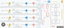 {"time":1753949336275,"blocks":[{"id":"0uKrEAWY9z","type":"paragraph","data":{"text":"<b>Heading: End-to-End BI Modernization Strategy\n</b>"}},{"id":"BOIJNnNveZ","type":"paragraph","data":{"text":"<b>Paragraph:</b>\nWe deployed a scalable Power BI solution backed by Azure SQL and integrated data pipelines. Our steps included:"}},{"id":"_U6DHeXfN2","type":"list","data":{"style":"unordered","items":[{"content":"ETL integration from SAP, POS &amp; Shopify\n","items":[]},{"content":"Star-schema data warehouse setup\n","items":[]},{"content":"User-level Power BI dashboards with filters\n","items":[]},{"content":"Alert-based reporting\n","items":[]},{"content":"Azure AD-based access control\n","items":[]},{"content":"Team onboarding &amp; training","items":[]}]}}],"version":"2.31.0-rc.7"}