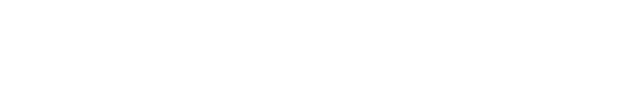 DollarDash Logo Image