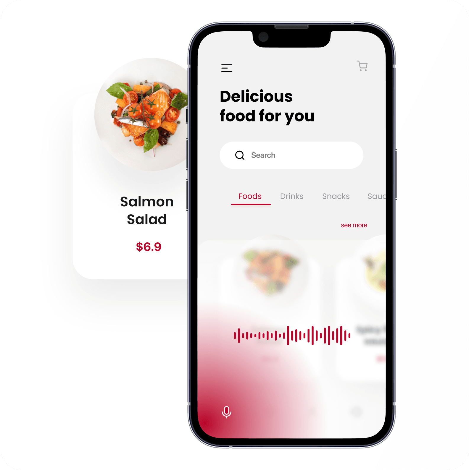 Voice &amp; Speech Tech