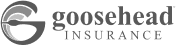 goosehead Insurance