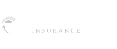 goosehead insurance