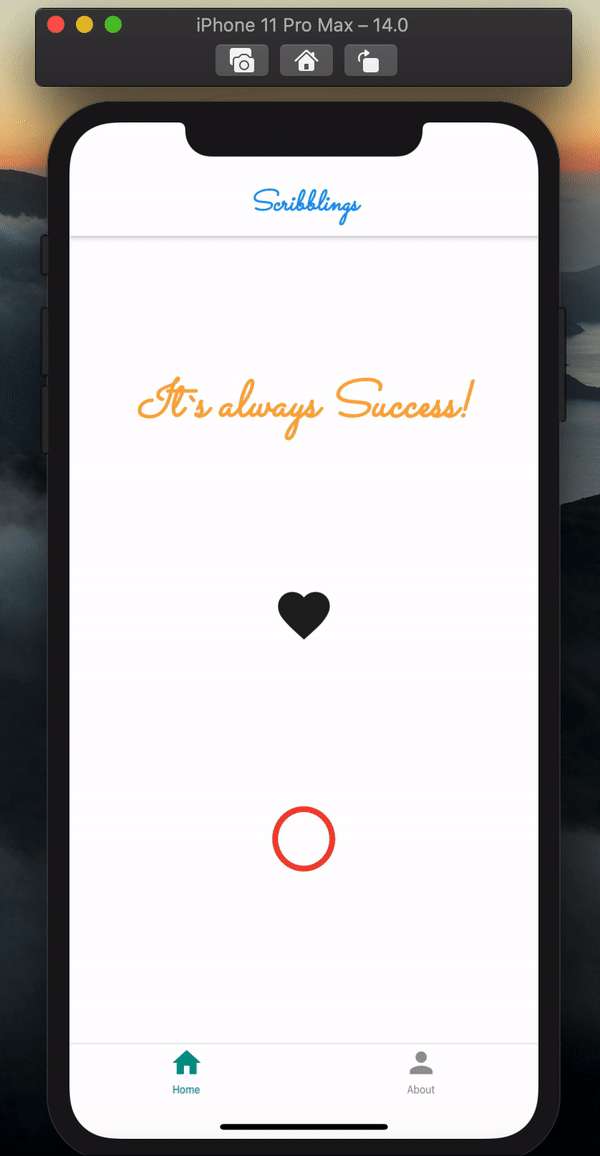 A small demo of the app functionality