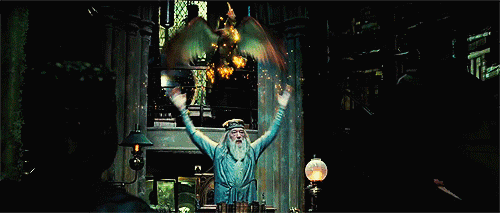 Chatbot & Albus