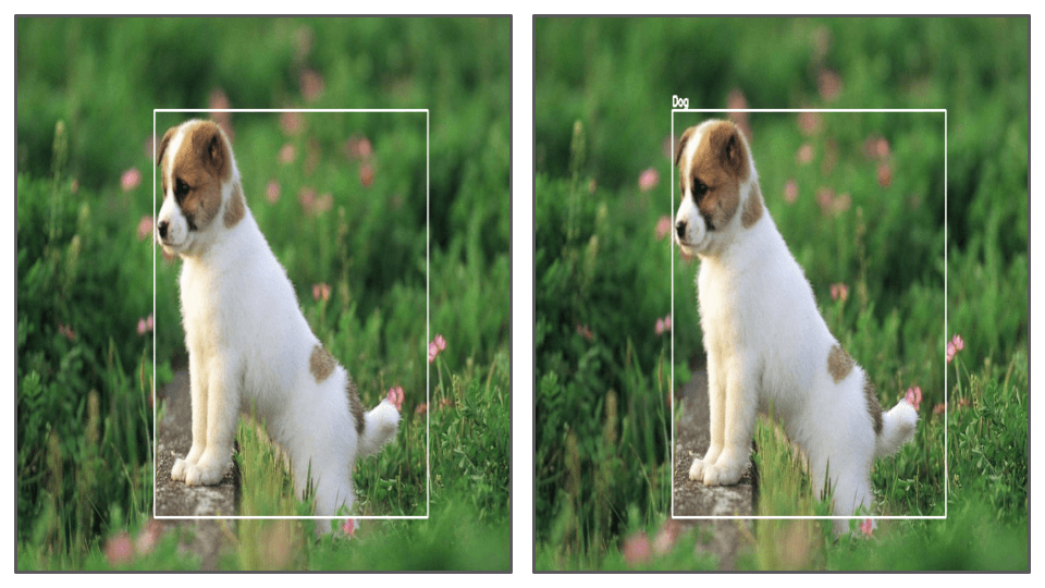 Image Recognition vs Object Detection, Respectively.