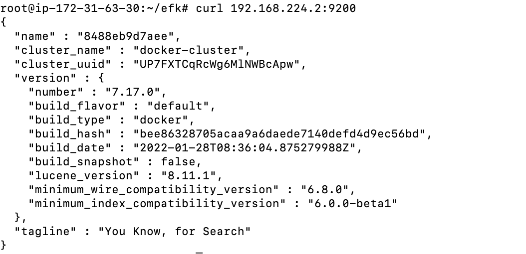 Check the running container 3