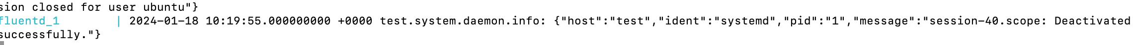 fluentd Container Logs -2