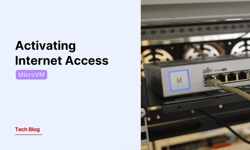 MicroVM: Activating Internet Access