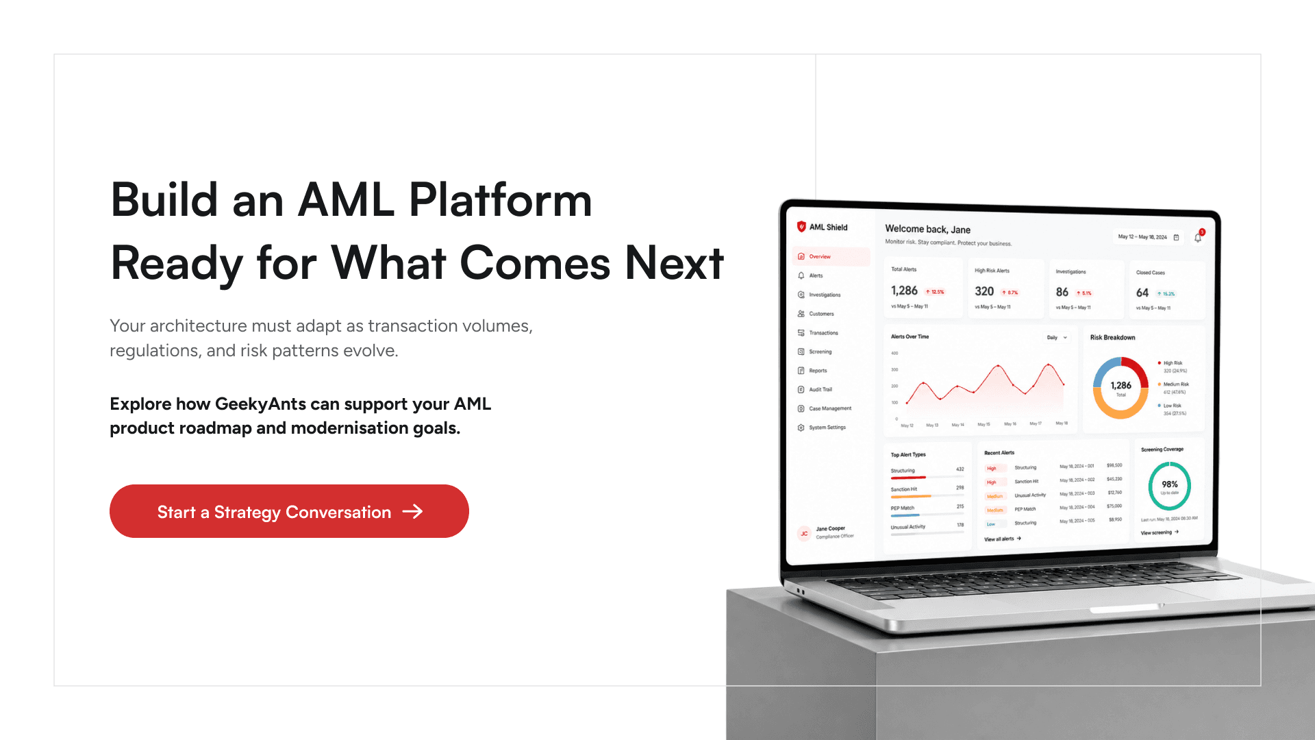 AML software strategy and modernization consultation