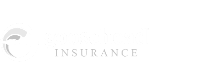 GooseheadInsurance
