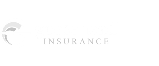 gooseheadINSURANCE