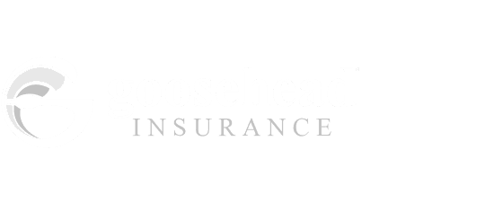 goosehead insurance