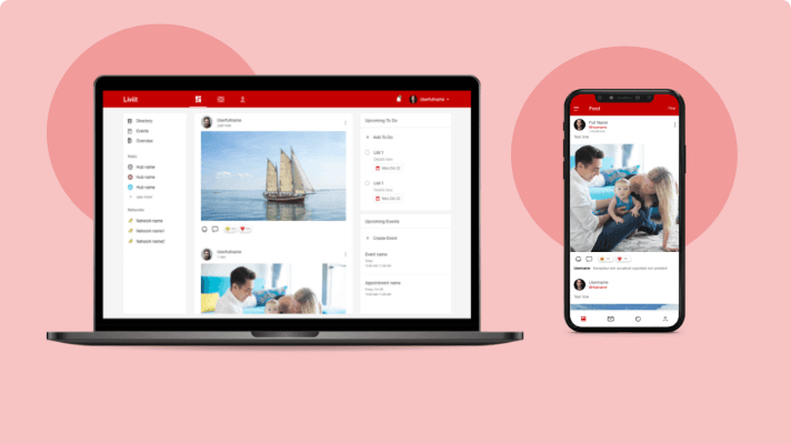 Social Media App For Liviit