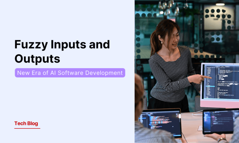 Fuzzy Inputs and Outputs—A New Era of AI Software Development